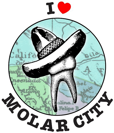 tooth molar city